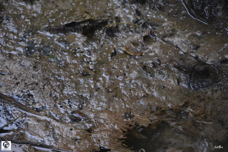 _D702532.JPG