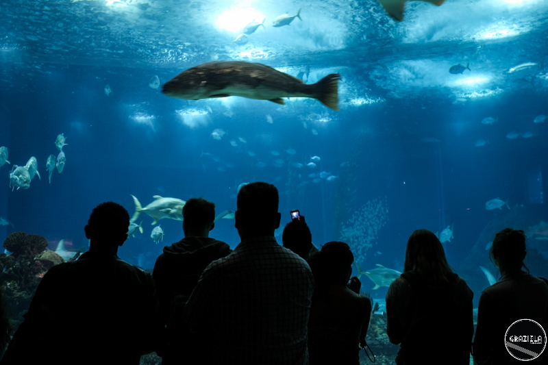 IMG_4696-19.jpg IMG_4696-19.jpg