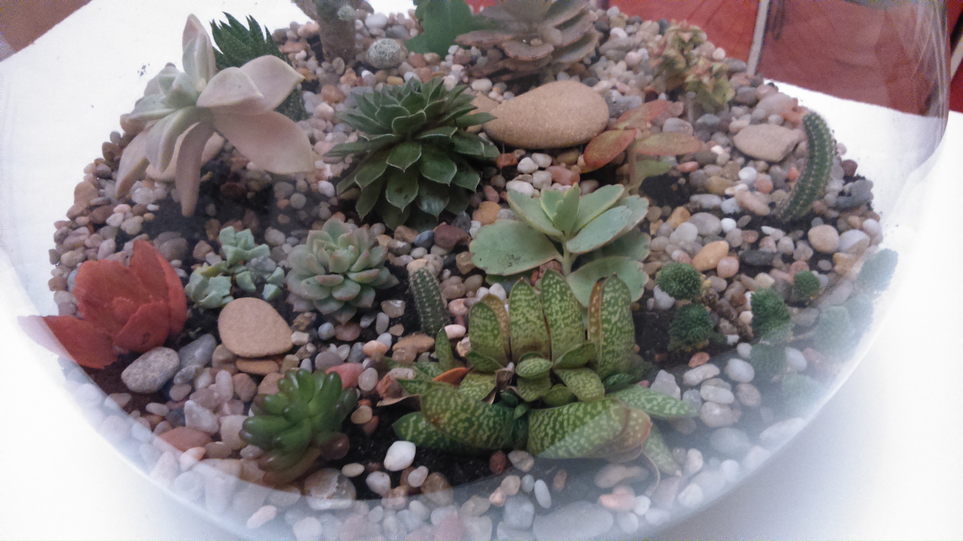 DSC_0881.jpg DSC_0881.jpg