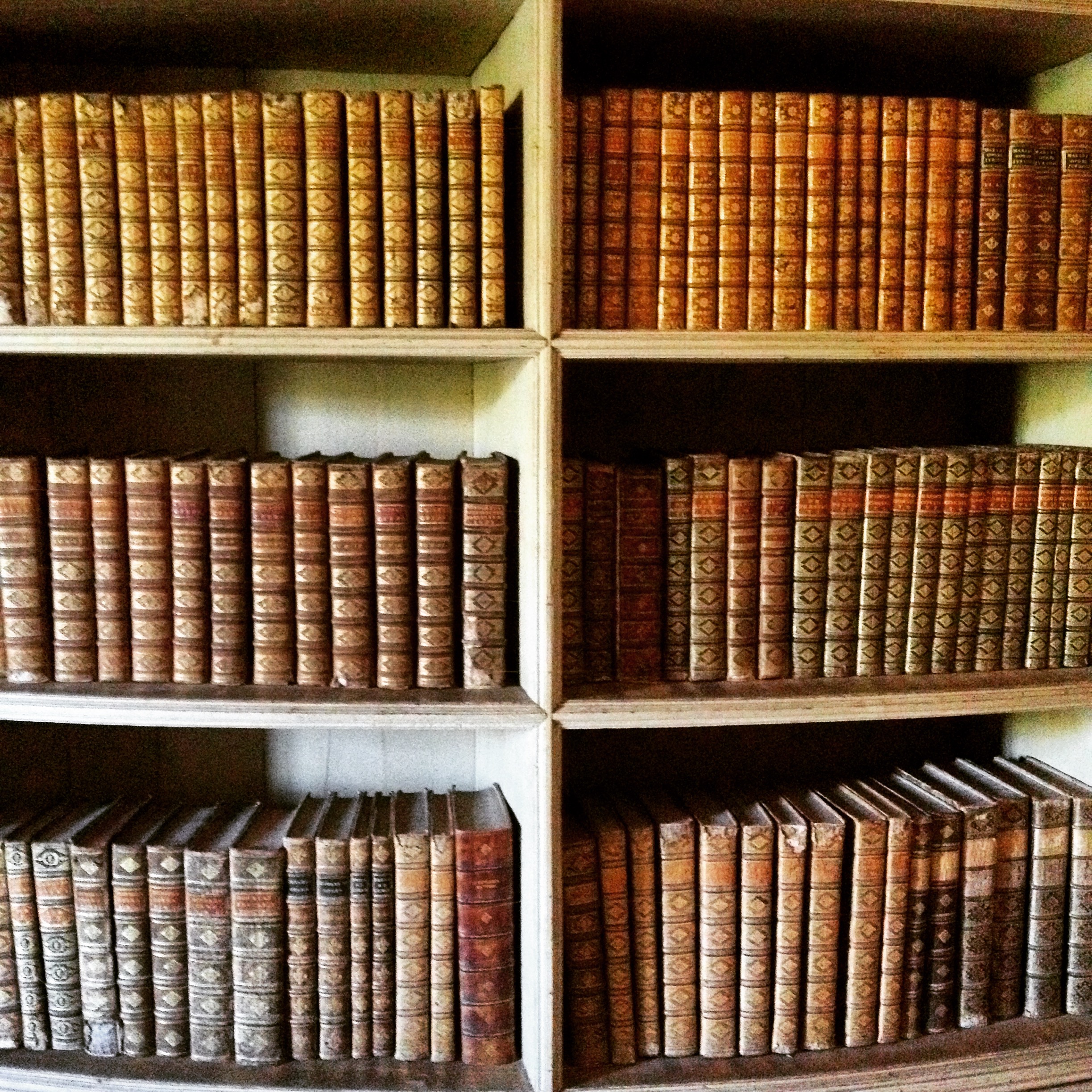 IMG_3382.JPG IMG_3382.JPG