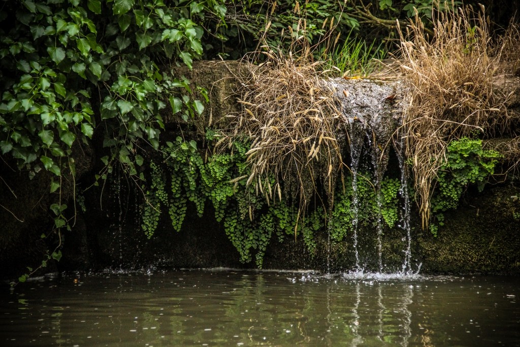 cascatas de mourao a 10