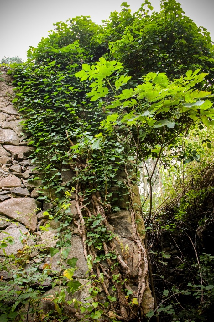 cascatas de mourao c 5