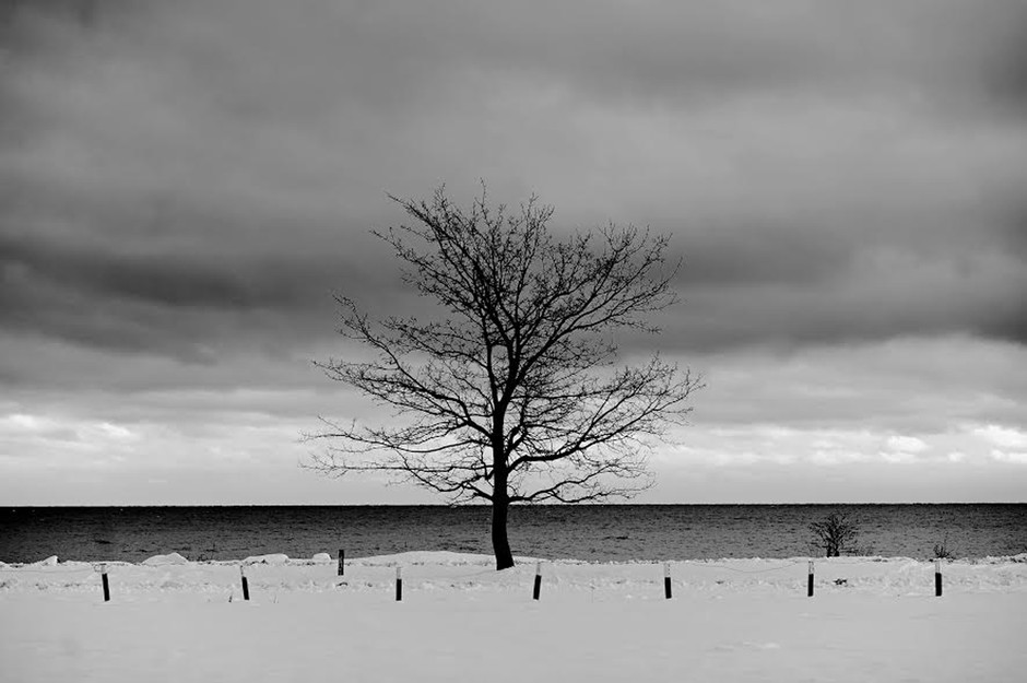 Onde o Frio se demora@PauloPimenta