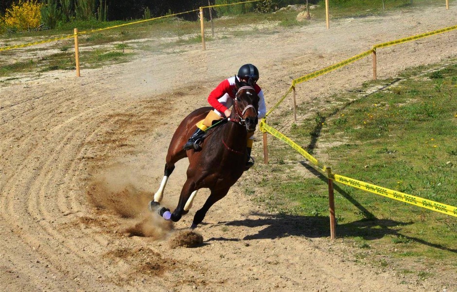 Feira agricola vale do mouro